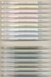 LANGUO 0.6 (F) needle ||LIGHT COLOR D0570 / ADVANCED GREY D0571