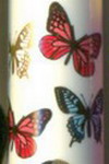 ZEBRA SARASA CLIP  Limited 0.5 Butterfly JJ15-A1